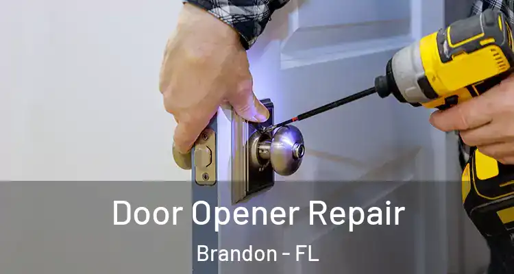Door Opener Repair Brandon - FL