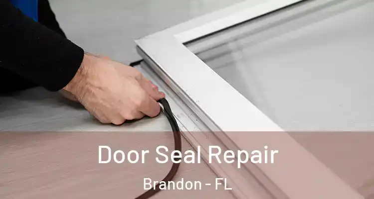 Door Seal Repair Brandon - FL