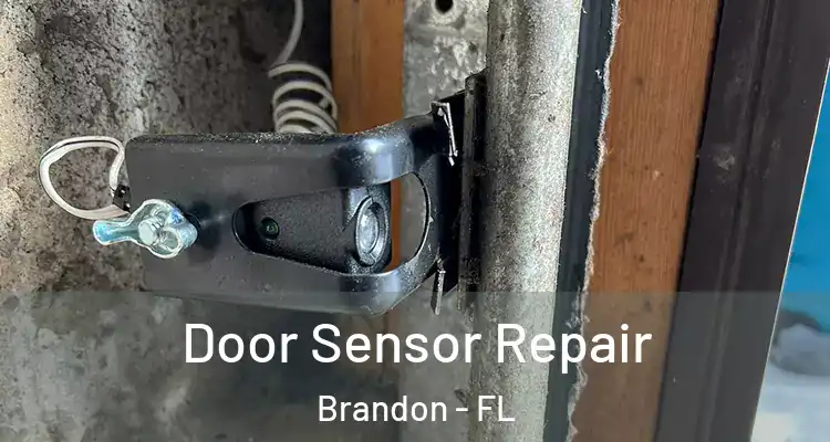 Door Sensor Repair Brandon - FL