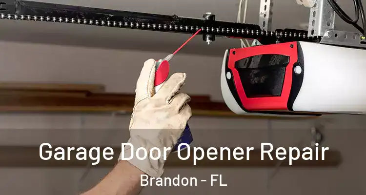 Garage Door Opener Repair Brandon - FL