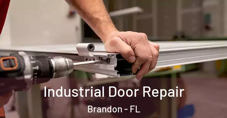 Industrial Door Repair Brandon - FL