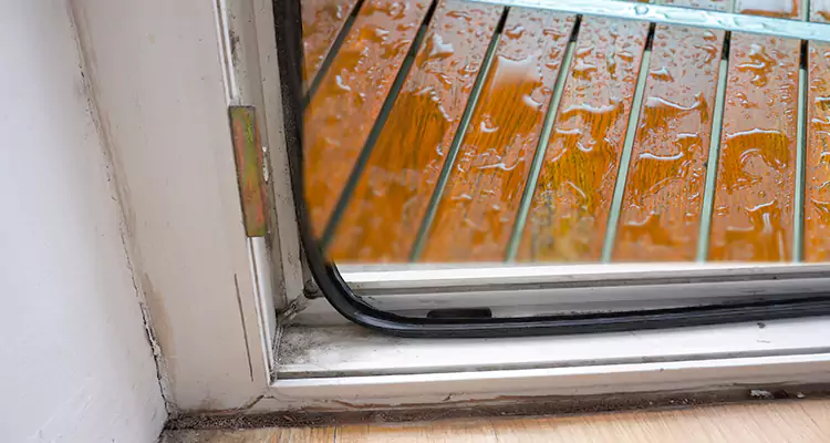 Water Leaking Wooden Patio Doors Repair in Brandon, FL