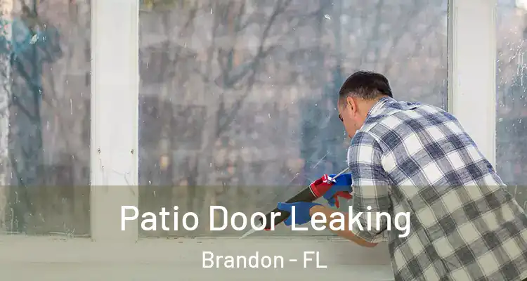 Patio Door Leaking Brandon - FL