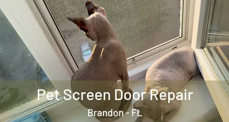 Pet Screen Door Repair Brandon - FL
