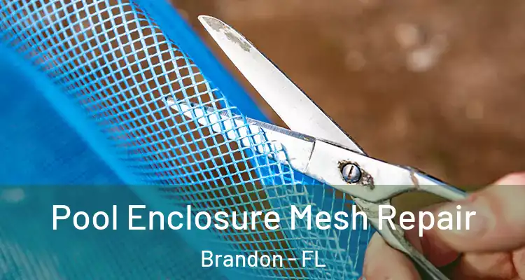 Pool Enclosure Mesh Repair Brandon - FL