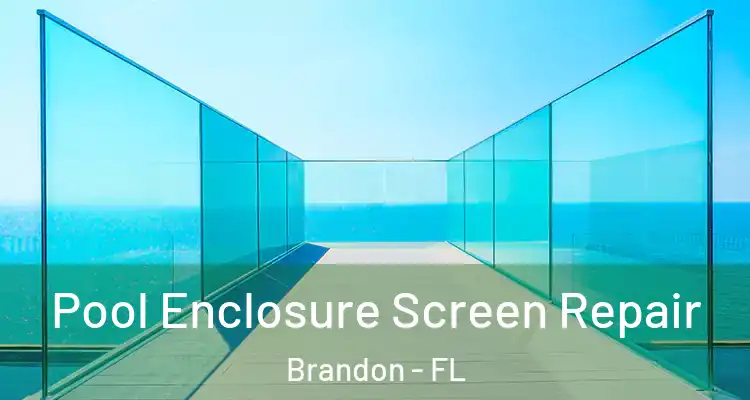 Pool Enclosure Screen Repair Brandon - FL