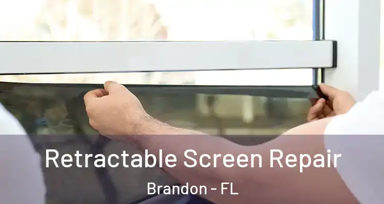 Retractable Screen Repair Brandon - FL