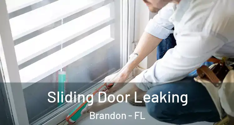 Sliding Door Leaking Brandon - FL