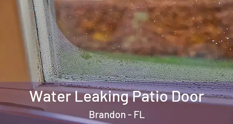 Water Leaking Patio Door Brandon - FL
