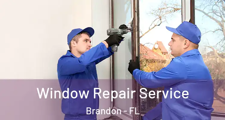 Window Repair Service Brandon - FL